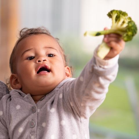 Pasta med ostsås och broccoli 6 mån